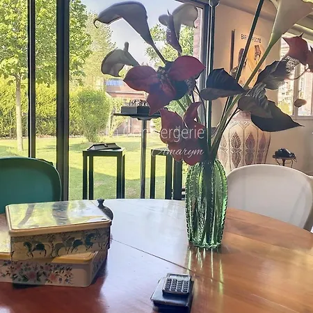 Nyaraló Le Bar De La Piscine Avec Piscine Sauna Et Jardin Dans Le Centre De Eu *