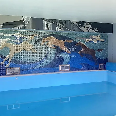 Nyaraló Le Bar De La Piscine Avec Piscine Sauna Et Jardin Dans Le Centre De Eu *